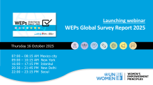 [Recording] WEPs Global Survey Report 2025 Launch