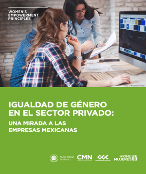 Gender Equality in the Private Sector: An Insight into Mexican Companies